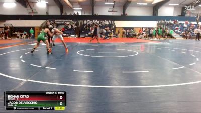 125 lbs Finals (2 Team) - Jacob Delvecchio, York vs Roman Citro, Sussex