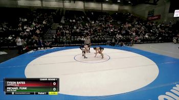 168 lbs Champ. Round 1 - Tyson Bates, Copper Hills vs Michael Funk, Box Elder