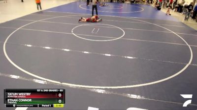 85 lbs Round 1 - Tatum Westby, Royalton-Upsala vs Ethan Connor, TMBWWG