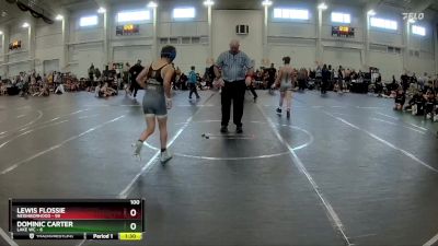 100 lbs Round 4 (10 Team) - Dominic Carter, Lake WC vs Lewis Flossie, Neighborhood