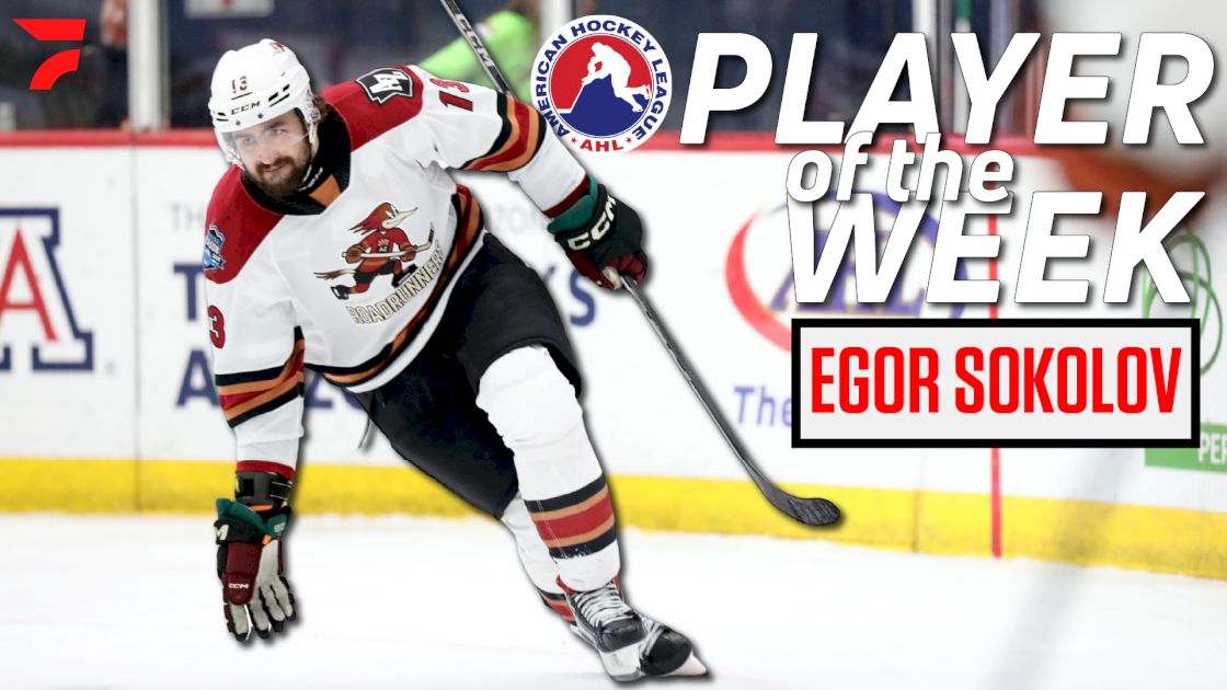 Roadrunners' Egor Sokolov Named AHL Player Of The Week