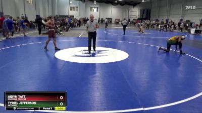 141 lbs Champ. Round 1 - Aidyn Tate, Roanoke College vs Tyriel Jefferson, McDaniel