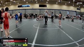 100 lbs Round 7 (8 Team) - Madden Harris, Reaper WC vs Ethan Halstead, Warhawks Wrestling