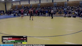 165 lbs Quarterfinal - Charlie Petit, Augustana vs Noah Torgerson, Southwest State