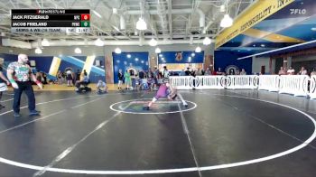 113 lbs Semis & Wb (16 Team) - Jack Fitzgerald, Naperville Central vs Jacob Frieland, Palm Harbor WC