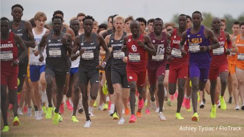 NCAA D1 Cross Country Regional Predictions 2024: Who Will Win?