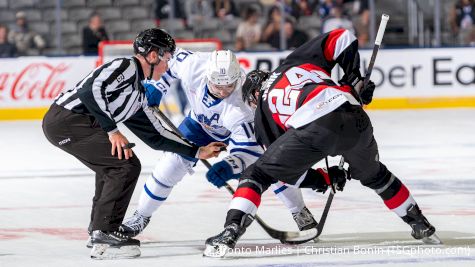 AHL Free Stream Game Of The Week: Belleville Senators Vs Toronto Marlies