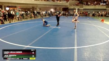 102 lbs Quarterfinal - Owen Urijah Bieber, Bemidji vs Jack Greseth, Minnewaska
