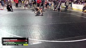 83 lbs Champ. Round 1 - Braedyn Anderson, South Dakota vs Asher Montoya, Canon City Wrestling Club