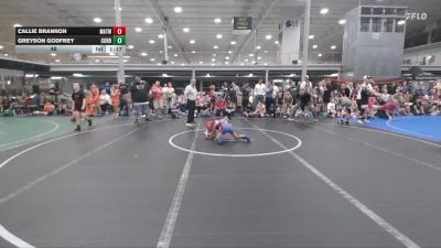 48 lbs Quarterfinals (8 Team) - Callie Brannon, Mat Assassins White vs Greyson Godfrey, Cordoba Trained