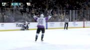 Gargoyles Bring In ECHL Veteran Nelson As First Signing