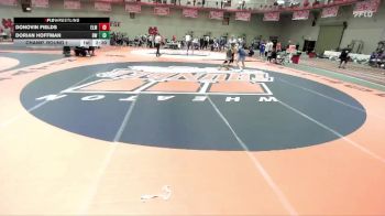 133 lbs Champ. Round 1 - Donovin Fields, Elmhurst University vs Dorian Hoffman, Baldwin Wallace