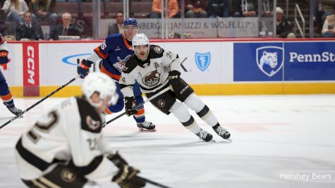 AHL Standings: Hershey Bears Jump Wranglers, Rocket to Claim Points Lead