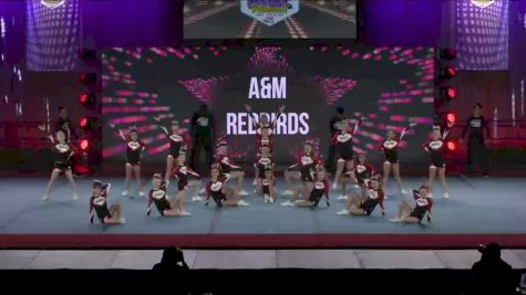 A&M Redbirds [2022 Jr. Peewee Show Cheer 1] 2022 Pop Warner National Cheer & Dance Championship