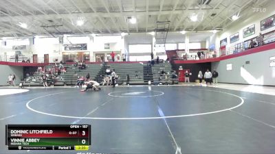 157 lbs Cons. Round 3 - Dominic Litchfield, Wabash vs Vinnie Abbey, Indiana Tech