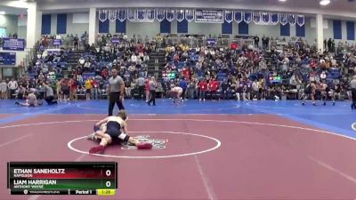 113 lbs Quarterfinal - Ethan Saneholtz, Napoleon vs Liam Harrigan, Anthony Wayne