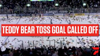 Teddy Bear Toss Goes Wild For Goal That Doesn't Count For Florida Everblades