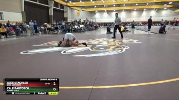 165 lbs Champ. Round 1 - Cale Bartosch, Alfred State vs Alex Stachler, Ohio Northern