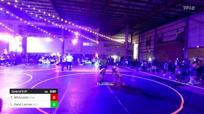 46 lbs Consi Of 8 #1 - Tiger Whitcomb, Arvada West vs Lev Heist Levine, Bozeman WC