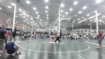 147 lbs Rr Rnd 3 - Sam Davidson, State College - HS vs Caden Yanarella, Conestoga Valley - HS