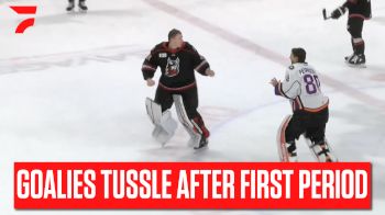 GOALIE FIGHT: Adirondack's David Fessenden Makes Quick Work Of Reading's Keith Petruzzelli In ECHL Action