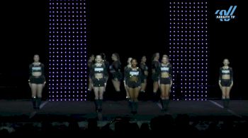 Wisconsin Elite - Black Ops [2025 L3 Senior - D2 - Small Day 2] 2025 ASC King of the Jungle Schaumburg Showdown