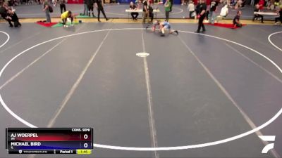 92 lbs Cons. Semi - Aj Woerpel, WI vs Michael Bird, IL