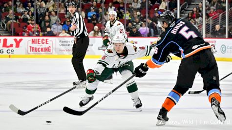 On The AHL: Wild, Gulls Meet Needing Points Quickly