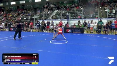 67 lbs Champ. Round 2 - Brooks Horwath, MI vs Avery Anderson, CO