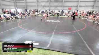 145 lbs 4th Wrestleback (16 Team) - Emil Necula, Georgia Blue vs Solomon Wales, Minnesota Red