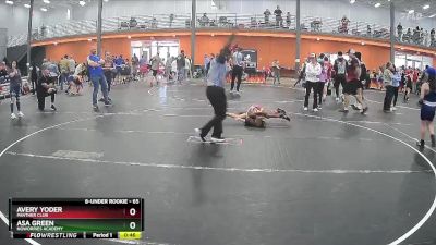 65 lbs 1st Place Match - Avery Yoder, Panther Club vs Asa Green, NoWorries Academy