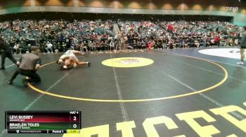 175 lbs Quarterfinal - Braelen Toles, Damonte Ranch vs Levi Bussey, Granite Bay