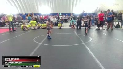 44 lbs Round 4 (8 Team) - Gavin Sowers, Rising Kingz vs Brayden Vitallo, FORGE