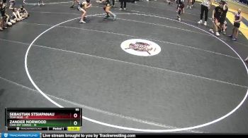 95 lbs Round 2 (6 Team) - Sebastian Stsiapanau, Team Bear vs Zander Norwood, Cane Bay Cobras
