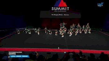 The Stingray Allstars - Gamma [2025 L1 Junior - Medium Prelims] 2025 The Summit