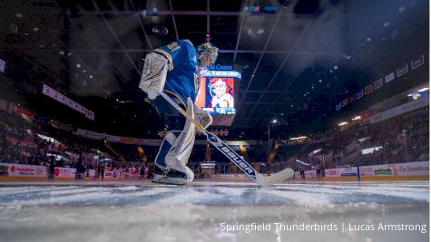 Everything To Know About Springfield Thunderbirds, St. Louis Blues AHL Team