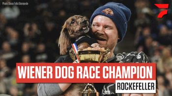 Sioux Falls Stampede Holds Intermission Wiener Dog Races