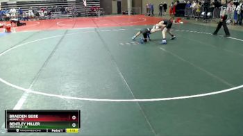 95 lbs Quarterfinal - Braeden Geise, Albany vs Bentley Miller, Westfield