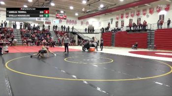 115 lbs 3rd Place Match - Stella Houselog, Dubuque Hempstead vs Amelia Terrill, Iowa City High