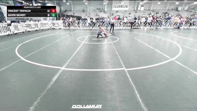 132 lbs Round Of 16 - Vincent Tripaldi, CT vs Gavin Mundy, DE