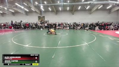 106 lbs Cons. Round 5 - Alex Herburger, Pueblo East vs Simon Carter, Severance