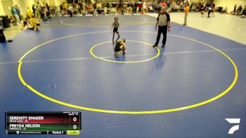 Semifinal - Freyda Nelson, Pinnacle vs Serenity Smaker, Mille Lacs