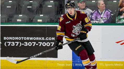 Meet The Carolina Hurricanes AHL Affiliate, The Chicago Wolves