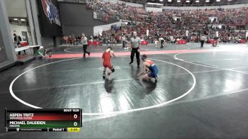 120 lbs Quarterfinal - Aspen Tritz, Wisconsin Rapids vs Michael Daleiden, Ringers