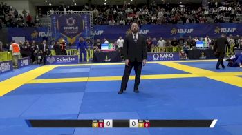Alexandre Couceiro Ribeiro vs Newton Dias Casemiro 2025 European Jiu-Jitsu IBJJF Championship