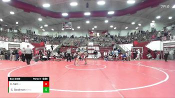 106 lbs Quarterfinal - Colt Goodman, Franklin Central vs Camron Sell, Lafayette Harrison