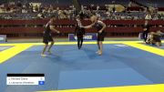 Jesse Michael Diana vs Joshua Leonardo Wheeless 2024 Pan IBJJF Jiu-Jitsu No-Gi Championship