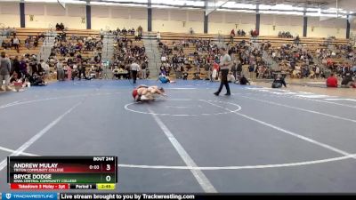 165 lbs Cons. Round 3 - Andrew Mulay, Triton Community College vs Bryce Dodge, Iowa Central Community College