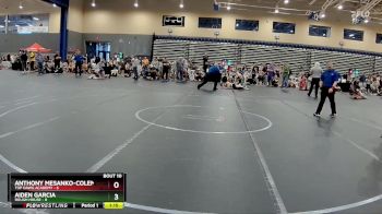 88 lbs Round 3 (8 Team) - Anthony Mesanko-Coleman, Top Dawg Academy vs Aiden Garcia, Rough House