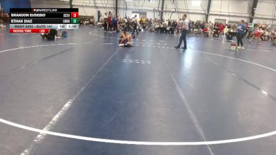 Elite 141 lbs Cons. Round 2 - Ethan Diaz, Cornell College vs Brandon Eusebio, St. Cloud State